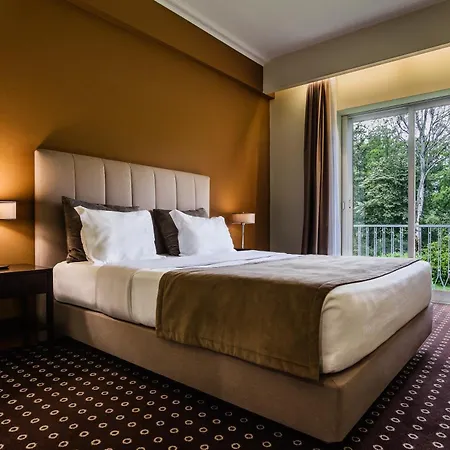 Grao Vasco - Historic And Hotel Viseu