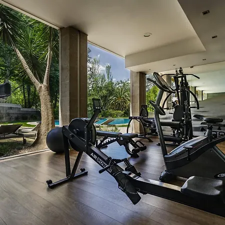 Grao Vasco - Historic And 4* Viseu