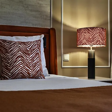 Grao Vasco - Historic And Viseu