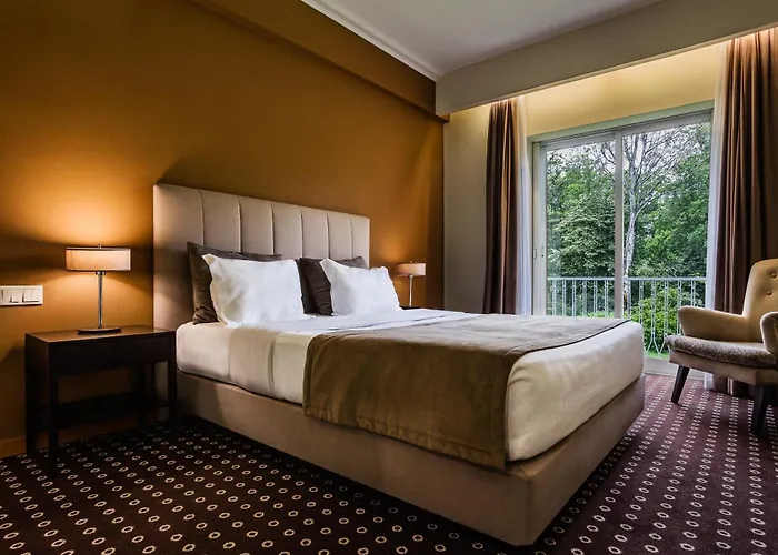 Grao Vasco - Historic And Hotel Viseu