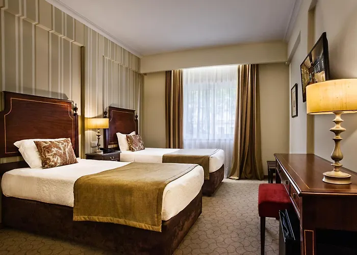 Grao Vasco - Historic And Viseu