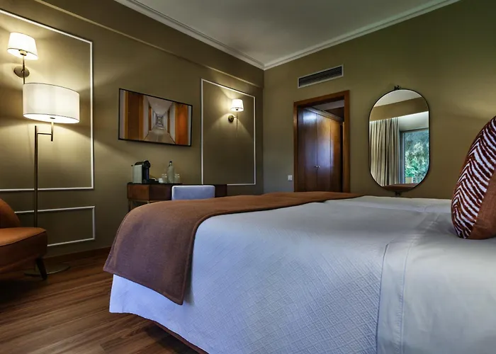 Grao Vasco - Historic And Hotel Viseu