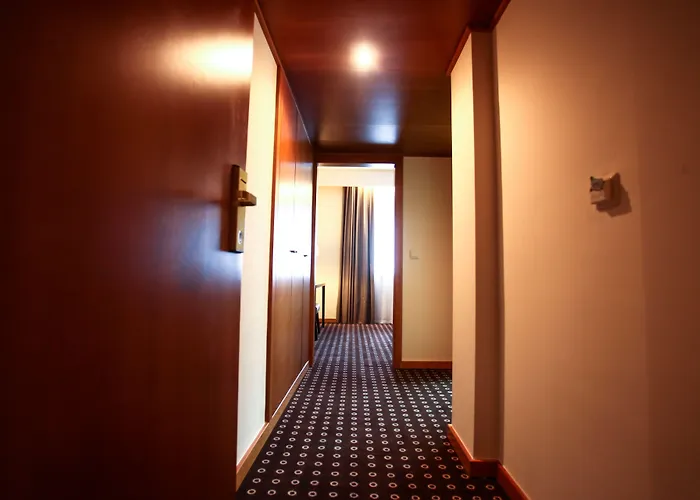Hotel Grao Vasco - Historic And Viseu